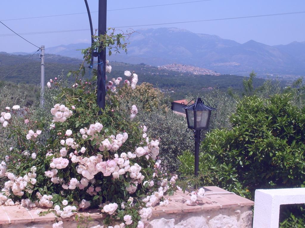B&B H.M. Sonnino Εξωτερικό φωτογραφία
